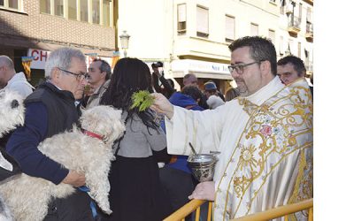 Miles de valencianos acuden a los Salesianos de la calle Sagunto para la bendición de animales